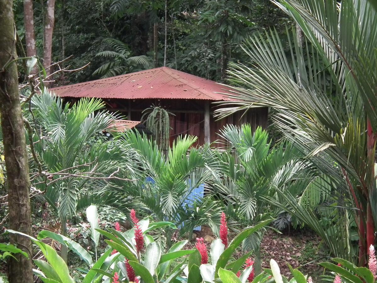 Hotel Valle Azul San Gerardo (Alajuela) Room photo